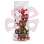 Un sobrío trabajo de floristePequeño arreglo floral de orquídeas dentro de un florero de cristal