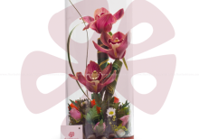 Un sobrío trabajo de floristePequeño arreglo floral de orquídeas dentro de un florero de cristal