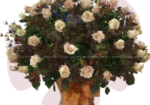 Apolo - Arreglos florales, Flores a domicilio quito sur, Floristeria Quito sur, Floreria Quito sur