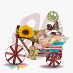 Triciclo - desayunos a domicilio Quito, Desayunos sorpresa, desayunos para cumpleaños, desayunos regalo, desayunos para niños a domicilio