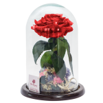 Rosas preservadas, rosas eternas quito, rosas inmortales a domicilio,regalos quito a domicilio