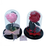 rosa eterna en cristal