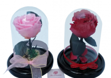 rosa eterna en cristal