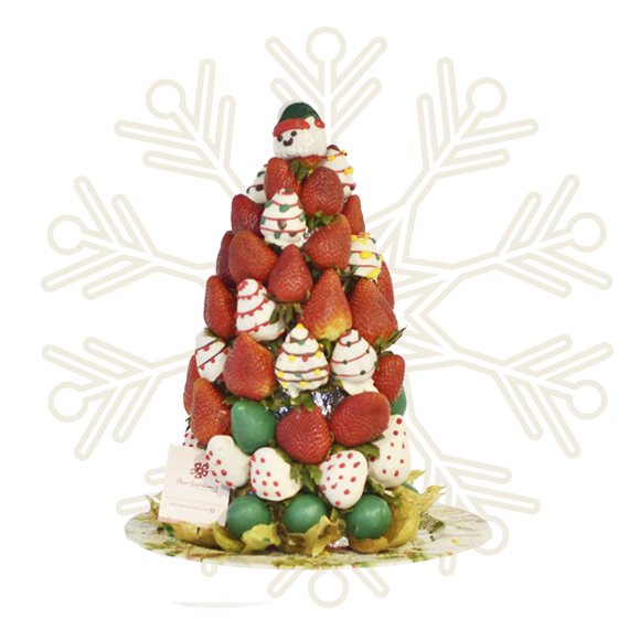 regalo de navidad - sueño de navidad