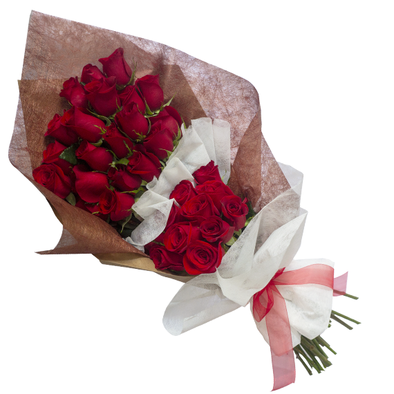 Ramo de 24 rosas rojas, dos docenas de rosas rojas quito
